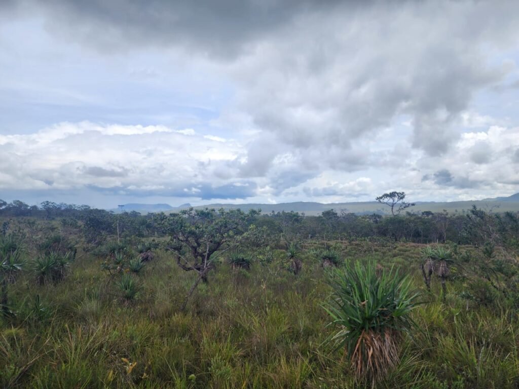 Chácara – Porteira Fechada – Rio – 5.7ha -Vale Verde – Alto Paraíso de Goiás