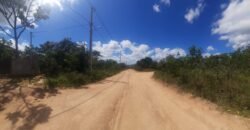 Lote 528m2 – R. Cadido Paulino – Eldorado – Alto Paraíso