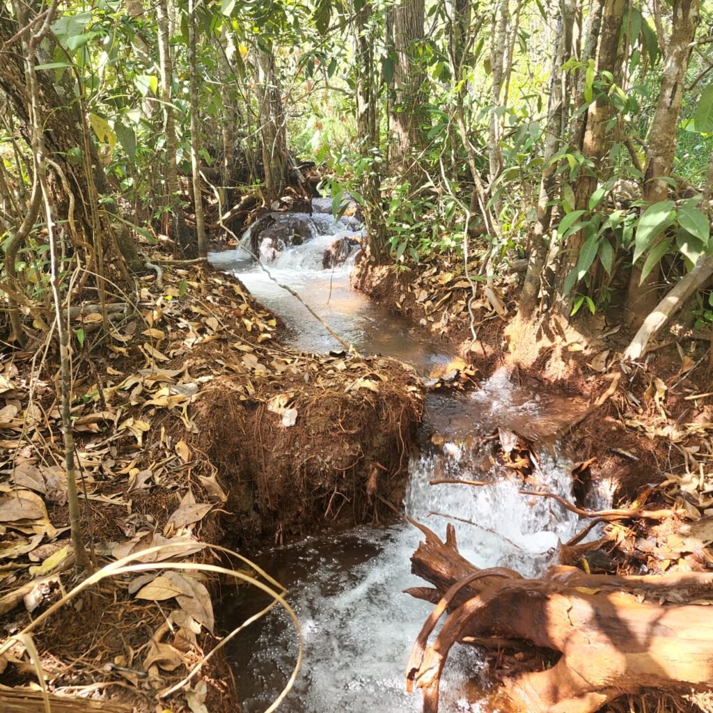 Fazenda 100ha- Rio – Casa Sede – 13km de Alto Paraíso e 1km de Terra