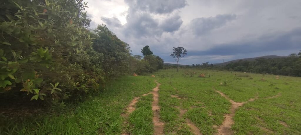 Maravilhosa Chácara 20ha – Recifra – Alto Paraíso de Goiás