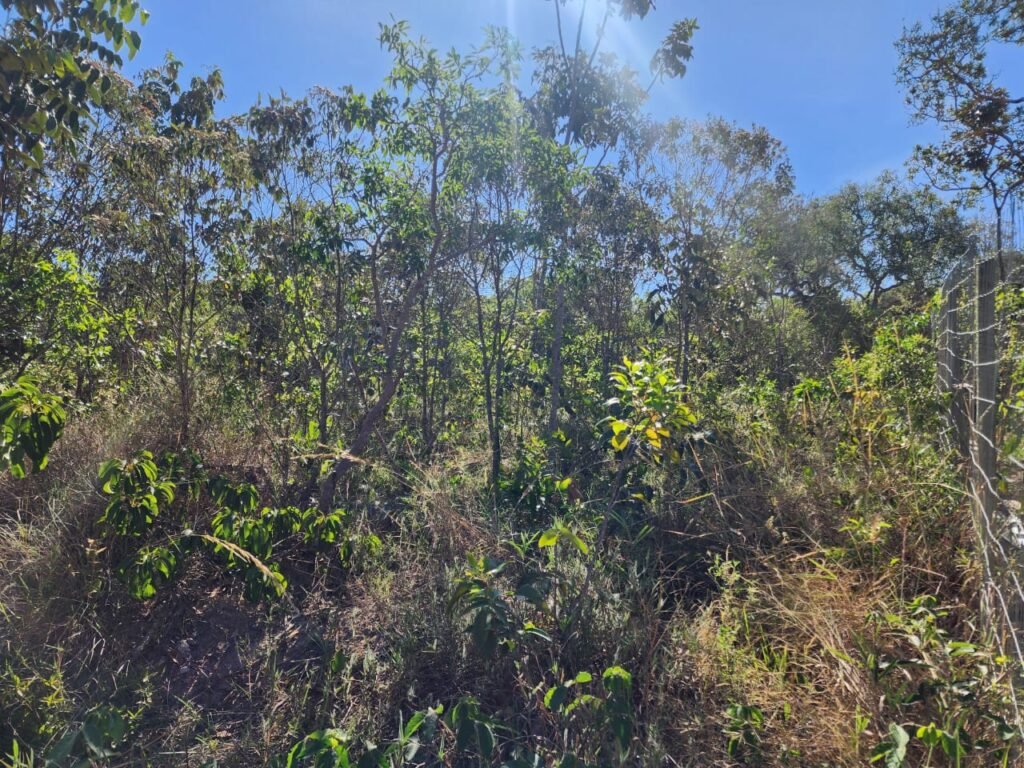 Vende-se Lote – Eldorado – Etapa 2 – Alto Paraíso de Goiás