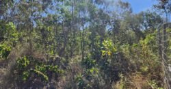 Vende-se Lote – Eldorado – Etapa 2 – Alto Paraíso de Goiás Vende-se Lote – Eldorado – Etapa 2 – Alto Paraíso de Goiás
