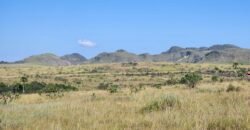 Vende-se Chácara 18ha Vale Verde – Chapada dos Veadeiros