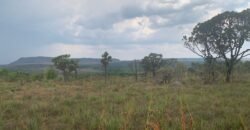 Chácara 4 ha – 12km de Alto Paraíso sentido São Jorge – Fácil Acesso