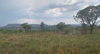 Chácara 4 ha – 12km de Alto Paraíso sentido São Jorge – Fácil Acesso Chácara 4 ha – 12km de Alto Paraíso sentido São Jorge – Fácil Acesso