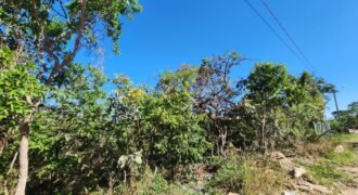 Lote 528m2 – Eldorado Etapa 2 – Alto Paraíso de Goiás