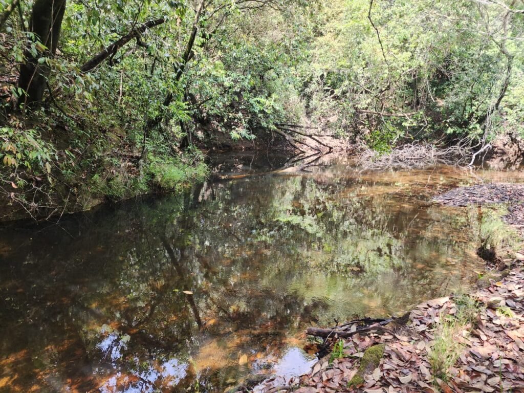 Chácara – Casa – Margem Rio Das Cobras – 12km de Alto Paraíso de Goiás