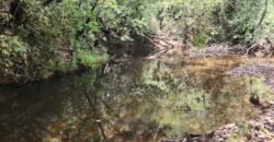 Chácara – Casa – Margem Rio Das Cobras – 12km de Alto Paraíso de Goiás Chácara – Casa – Margem Rio Das Cobras – 12km de Alto Paraíso de Goiás