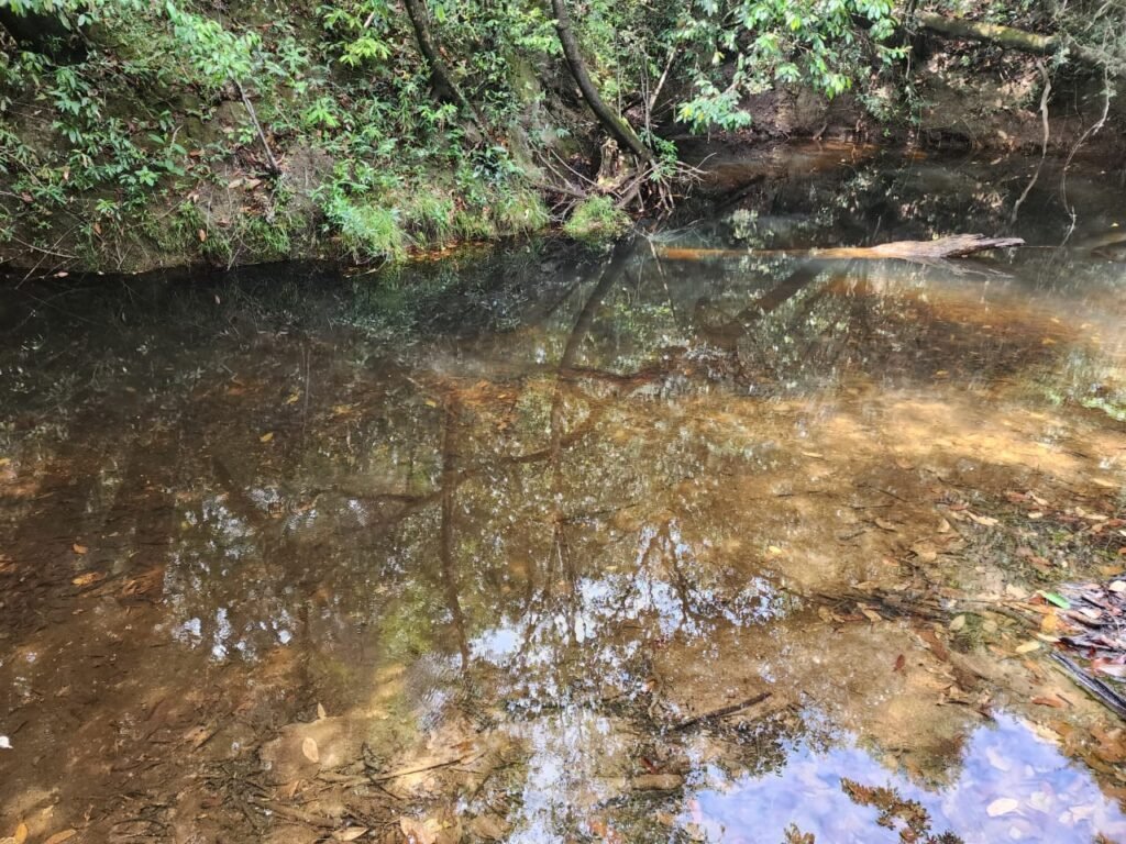 Chácara – Casa – Margem Rio Das Cobras – 12km de Alto Paraíso de Goiás