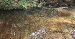 Chácara – Casa – Margem Rio Das Cobras – 12km de Alto Paraíso de Goiás Chácara – Casa – Margem Rio Das Cobras – 12km de Alto Paraíso de Goiás