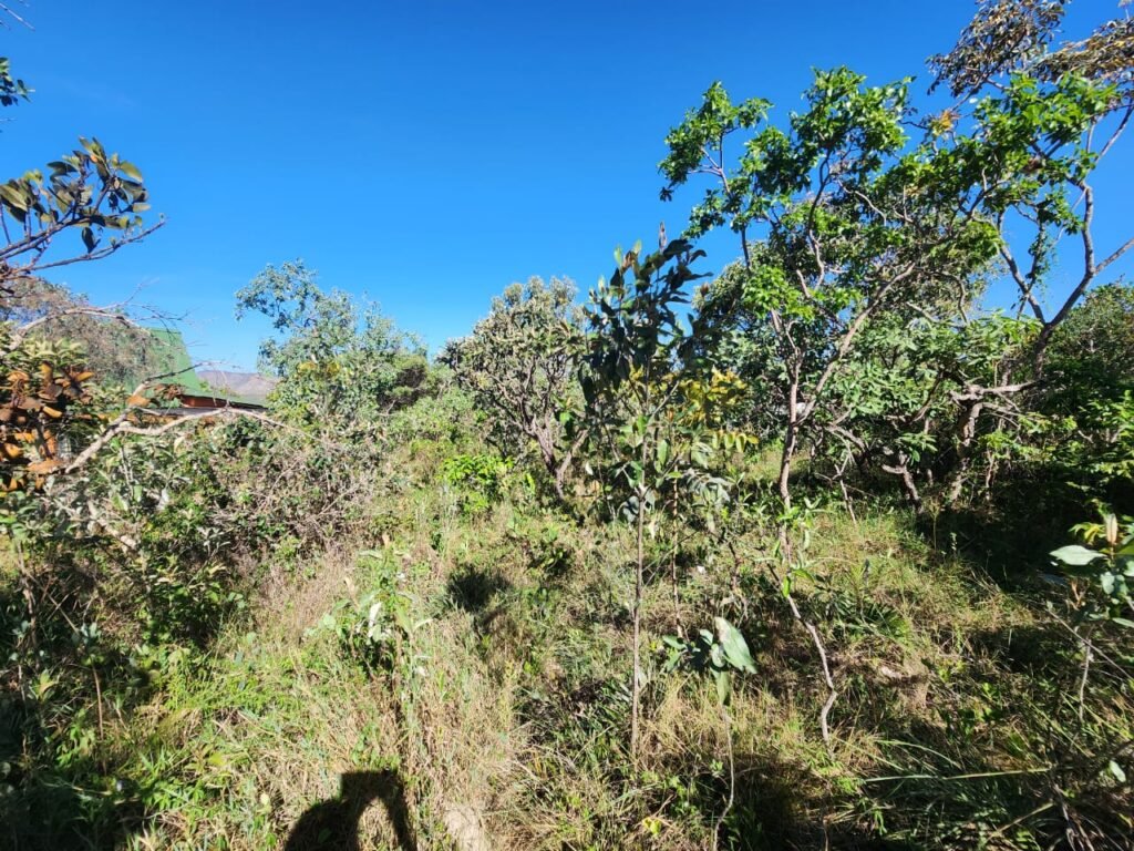 Lote 528m2 – Eldorado Etapa 2 – Alto Paraíso de Goiás