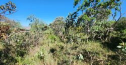 Lote 528m2 – Eldorado Etapa 2 – Alto Paraíso de Goiás Lote 528m2 – Eldorado Etapa 2 – Alto Paraíso de Goiás