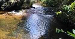 Vende-se Chácara 18ha Vale Verde – Chapada dos Veadeiros