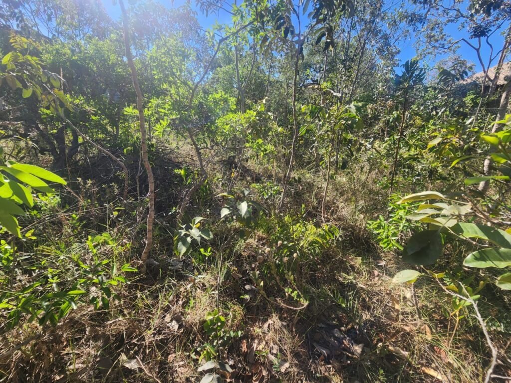 Vende-se Lote – Eldorado – Etapa 2 – Alto Paraíso de Goiás