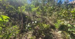 Vende-se Lote – Eldorado – Etapa 2 – Alto Paraíso de Goiás Vende-se Lote – Eldorado – Etapa 2 – Alto Paraíso de Goiás