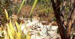 Casa Eldorado 2 – Alto Paraíso de Goiás – Chapada dos veadeiros Casa Eldorado 2 – Alto Paraíso de Goiás – Chapada dos veadeiros