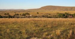 Vende-se Chácara 18ha Vale Verde – Chapada dos Veadeiros