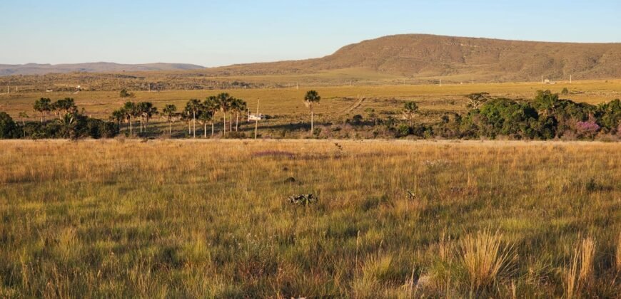 Vende-se Chácara 18ha Vale Verde – Chapada dos Veadeiros