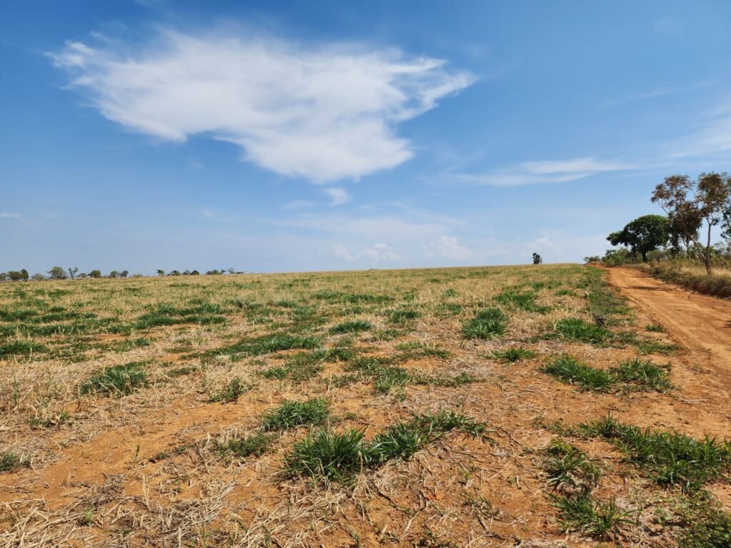 Fazenda Produzindo – Soja – Milho – Feijão – Propriedade Rural na Chapada dos Veadeiros – 28km de Alto Paraíso  de Goiás