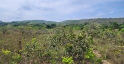 Chácara – Casa – Margem Rio Das Cobras – 12km de Alto Paraíso de Goiás Chácara – Casa – Margem Rio Das Cobras – 12km de Alto Paraíso de Goiás