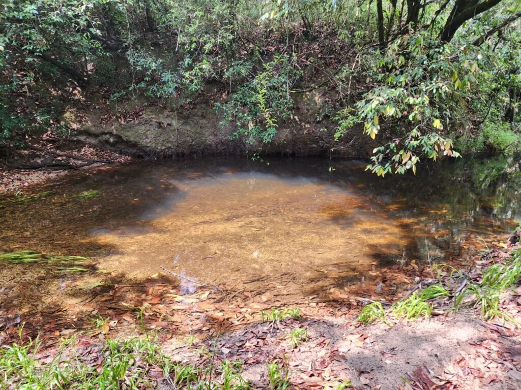 Chácara – Casa – Margem Rio Das Cobras – 12km de Alto Paraíso de Goiás