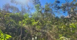 Vende-se Lote – Eldorado – Etapa 2 – Alto Paraíso de Goiás Vende-se Lote – Eldorado – Etapa 2 – Alto Paraíso de Goiás
