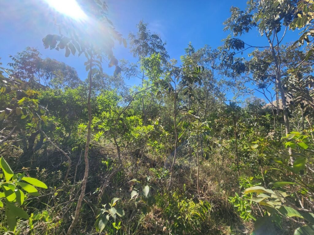 Lote 528m2 – Eldorado Etapa 2 – Alto Paraíso de Goiás