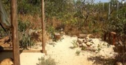 Casa Eldorado 2 – Alto Paraíso de Goiás – Chapada dos veadeiros Casa Eldorado 2 – Alto Paraíso de Goiás – Chapada dos veadeiros