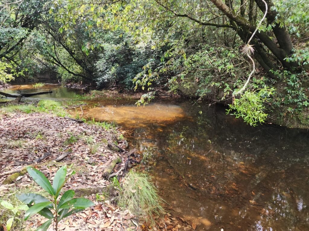 Chácara – Casa – Margem Rio Das Cobras – 12km de Alto Paraíso de Goiás