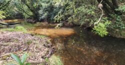 Chácara – Casa – Margem Rio Das Cobras – 12km de Alto Paraíso de Goiás Chácara – Casa – Margem Rio Das Cobras – 12km de Alto Paraíso de Goiás