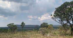 Chácara 4 ha – 12km de Alto Paraíso sentido São Jorge – Fácil Acesso