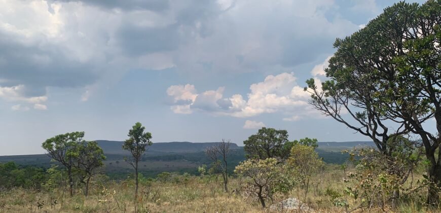 Chácara 4 ha – 12km de Alto Paraíso sentido São Jorge – Fácil Acesso