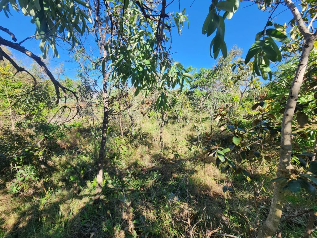Lote 528m2 – Eldorado Etapa 2 – Alto Paraíso de Goiás