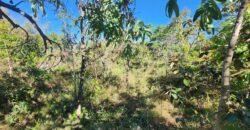 Lote 528m2 – Eldorado Etapa 2 – Alto Paraíso de Goiás Lote 528m2 – Eldorado Etapa 2 – Alto Paraíso de Goiás