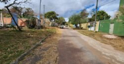 Lote 450.00 m2 – Monte Sinai – Alto Paraíso de Goiás