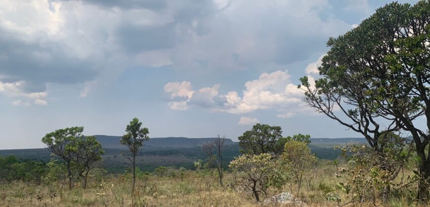 Chácara 4 ha – 12km de Alto Paraíso sentido São Jorge – Fácil Acesso