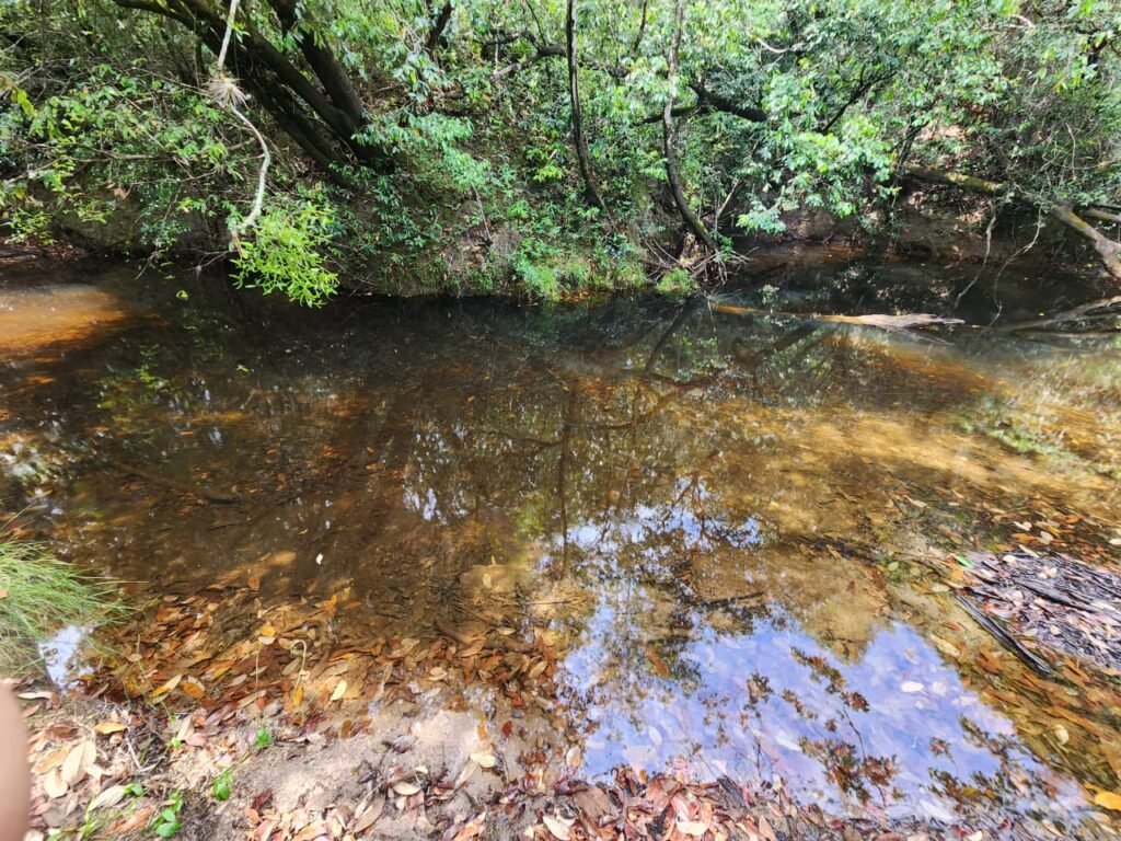 Chácara – Casa – Margem Rio Das Cobras – 12km de Alto Paraíso de Goiás