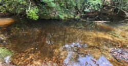 Chácara – Casa – Margem Rio Das Cobras – 12km de Alto Paraíso de Goiás Chácara – Casa – Margem Rio Das Cobras – 12km de Alto Paraíso de Goiás