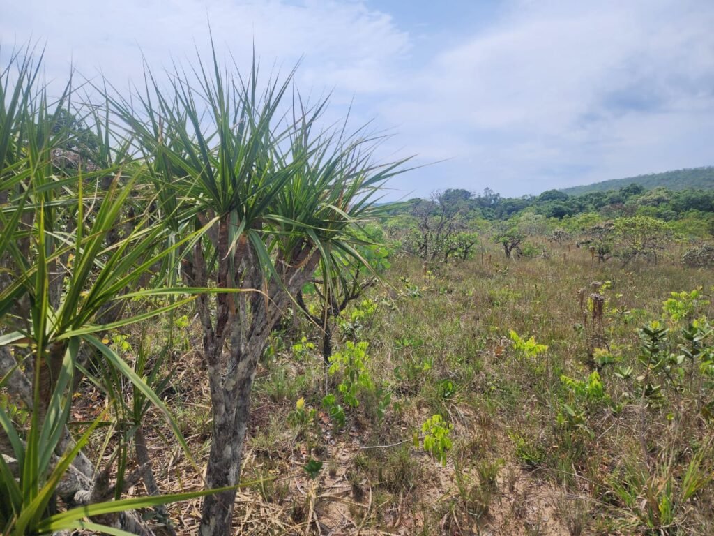 Chácara – Casa – Margem Rio Das Cobras – 12km de Alto Paraíso de Goiás