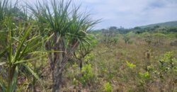 Chácara – Casa – Margem Rio Das Cobras – 12km de Alto Paraíso de Goiás Chácara – Casa – Margem Rio Das Cobras – 12km de Alto Paraíso de Goiás