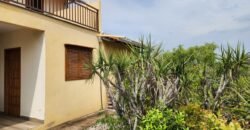 Chácara – Casa – Margem Rio Das Cobras – 12km de Alto Paraíso de Goiás Chácara – Casa – Margem Rio Das Cobras – 12km de Alto Paraíso de Goiás