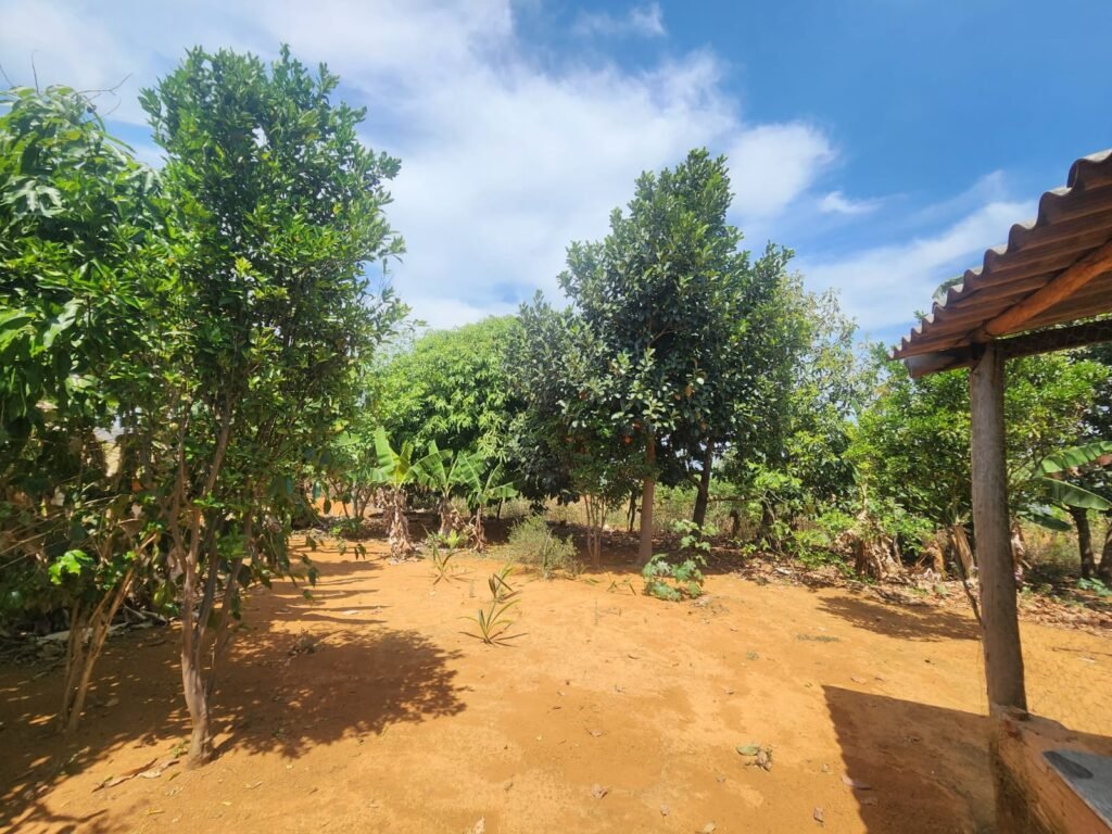 Fazenda Produzindo – Soja – Milho – Feijão – Propriedade Rural na Chapada dos Veadeiros – 28km de Alto Paraíso  de Goiás
