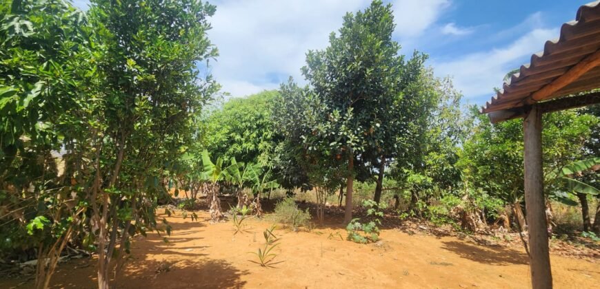Fazenda Produzindo – Soja – Milho – Feijão – Propriedade Rural na Chapada dos Veadeiros – 28km de Alto Paraíso  de Goiás
