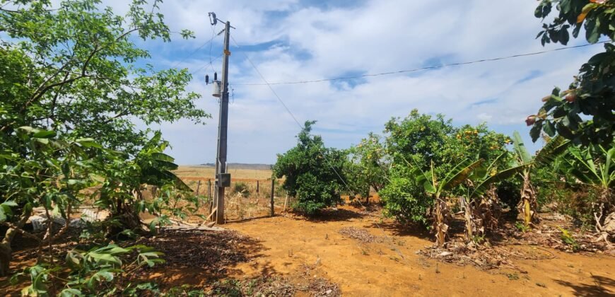 Fazenda Produzindo – Soja – Milho – Feijão – Propriedade Rural na Chapada dos Veadeiros – 28km de Alto Paraíso  de Goiás