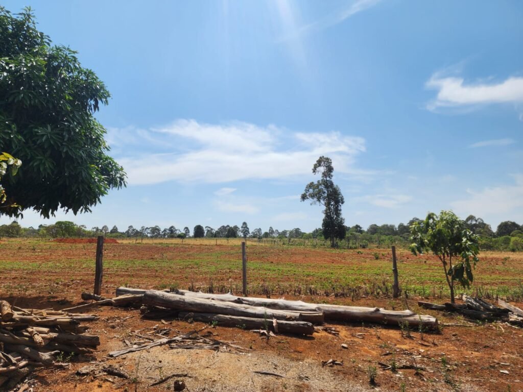 Fazenda Produzindo – Soja – Milho – Feijão – Propriedade Rural na Chapada dos Veadeiros – 28km de Alto Paraíso  de Goiás