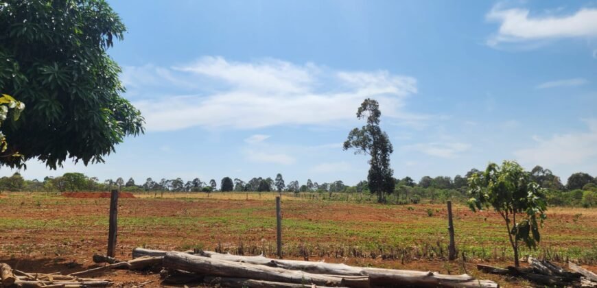 Fazenda Produzindo – Soja – Milho – Feijão – Propriedade Rural na Chapada dos Veadeiros – 28km de Alto Paraíso  de Goiás