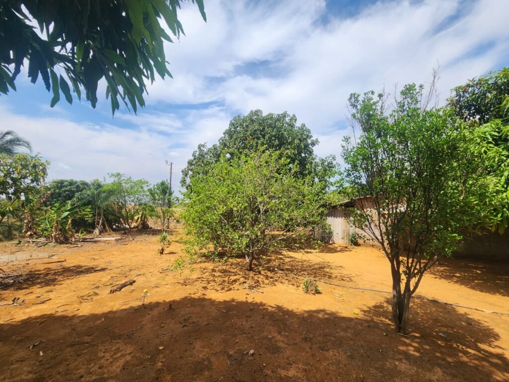 Fazenda Produzindo – Soja – Milho – Feijão – Propriedade Rural na Chapada dos Veadeiros – 28km de Alto Paraíso  de Goiás