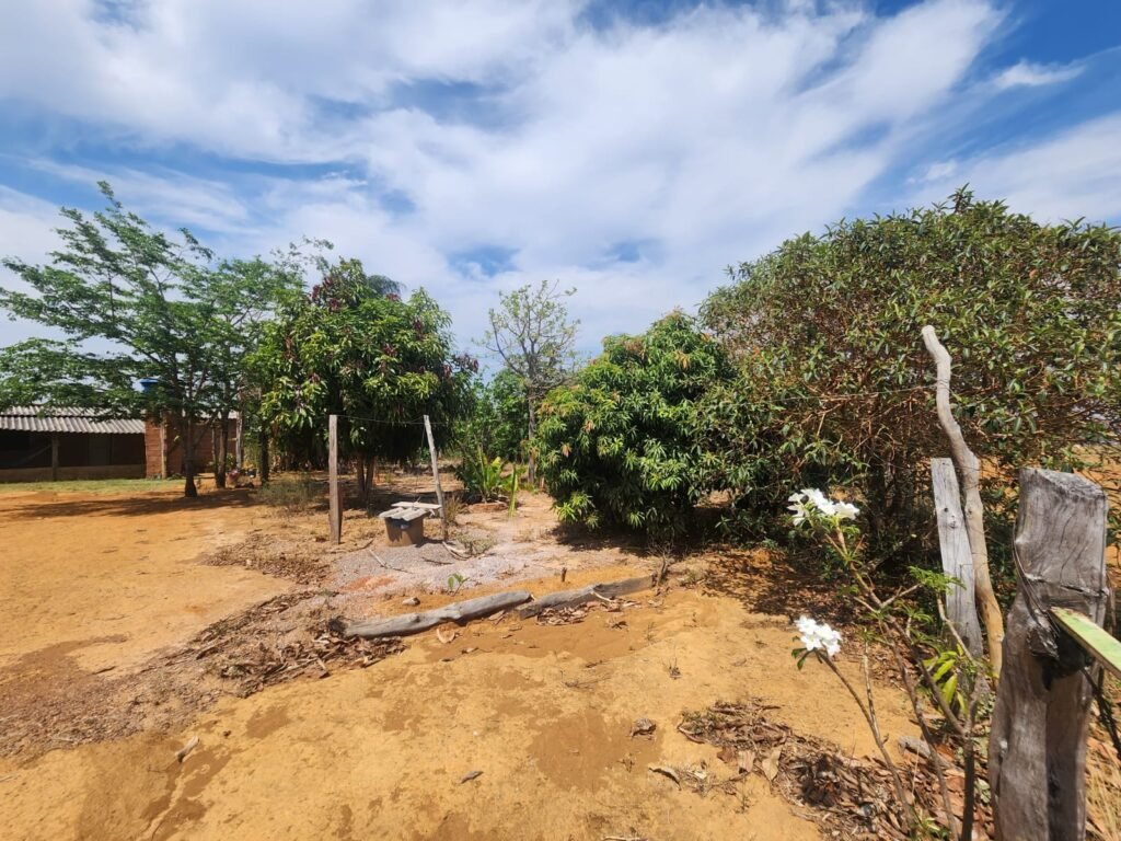 Fazenda Produzindo – Soja – Milho – Feijão – Propriedade Rural na Chapada dos Veadeiros – 28km de Alto Paraíso  de Goiás
