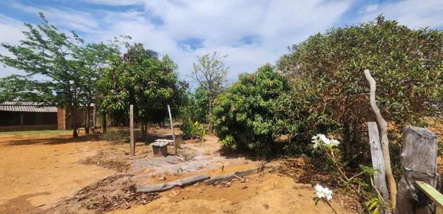 Fazenda Produzindo – Soja – Milho – Feijão – Propriedade Rural na Chapada dos Veadeiros – 28km de Alto Paraíso  de Goiás