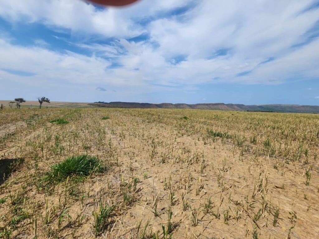 Fazenda Produzindo – Soja – Milho – Feijão – Propriedade Rural na Chapada dos Veadeiros – 28km de Alto Paraíso  de Goiás